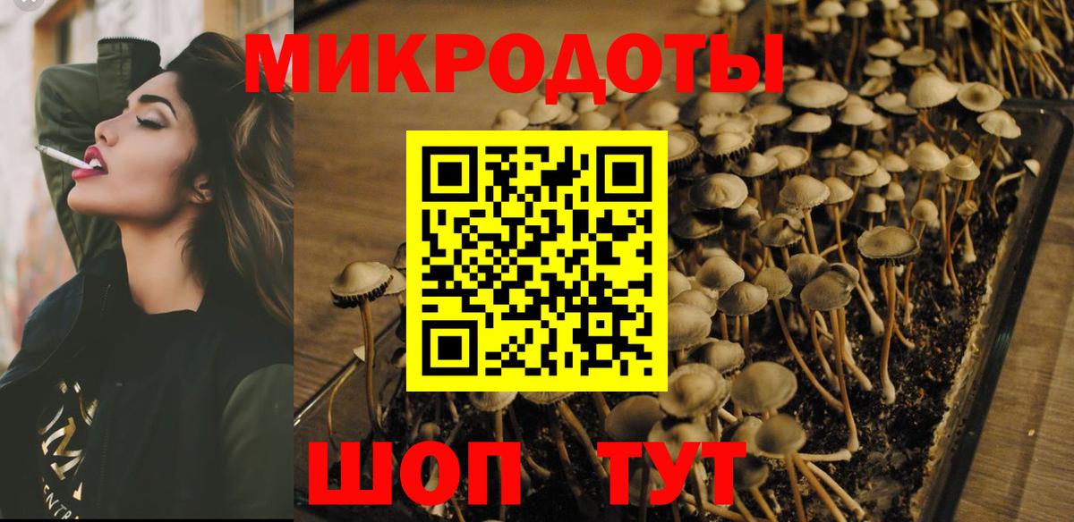 Галлюциногенные грибы ЛСД Заинск